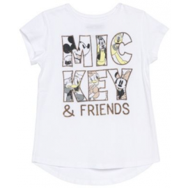 Disney Little Girls Minnie and Friend Top